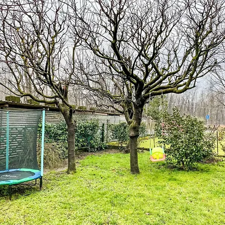 Daire Tiglio By Interhome Poncetta